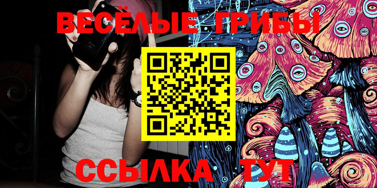 Егорьевск  Псилоцибиновые грибы Psilocybine cubensis  Вход с VPN 
