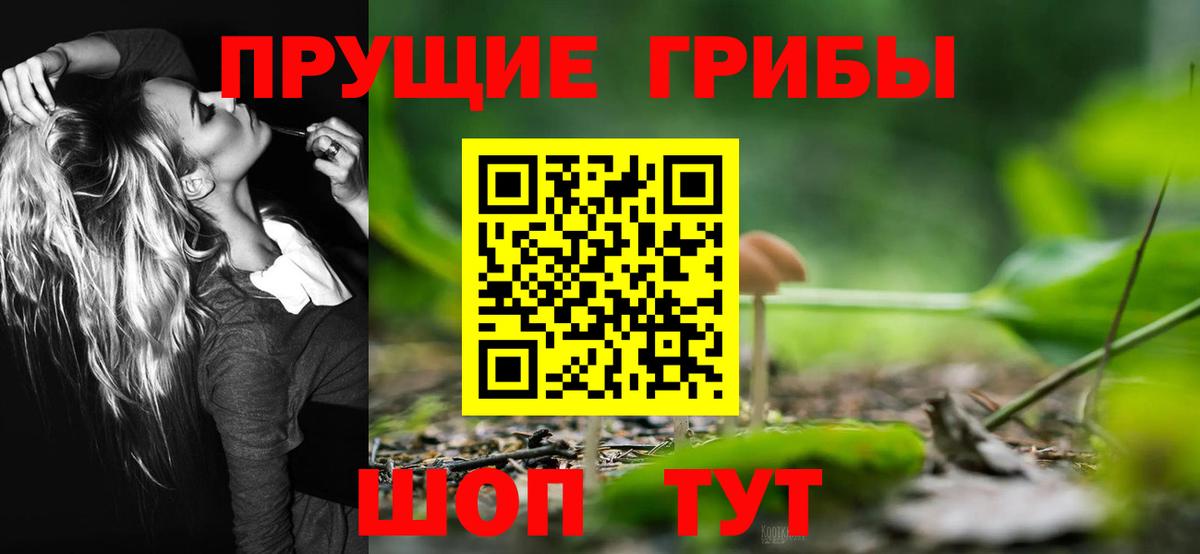 Псилоцибиновые грибы Cubensis Егорьевск